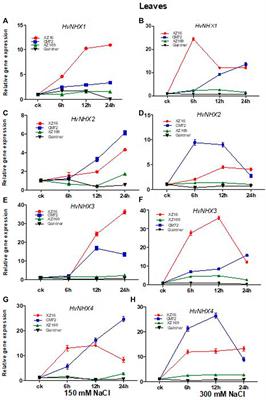 NHX-Type Na+/H+ Antiporter Gene Expression Under Different Salt Levels and Allelic Diversity of HvNHX in Wild and Cultivated Barleys